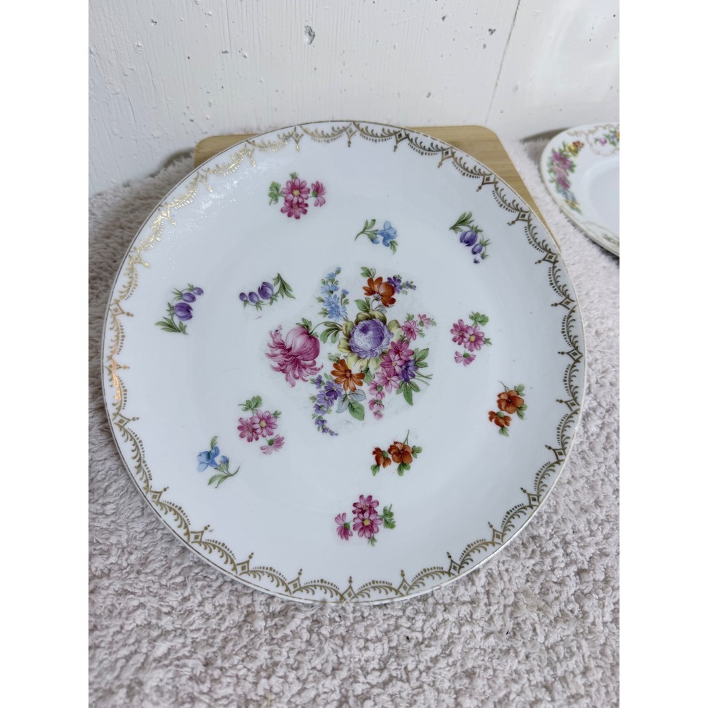 ACS Bavaria Vintage Porcelain Floral Dinner Plate Gold Filigree Rim German